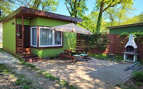 Szpak i Gil - domki letniskowe w Dolinie Baryczy
